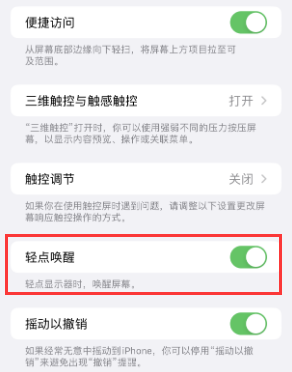 韶关苹果授权维修站分享iPhone轻点无法唤醒怎么办 