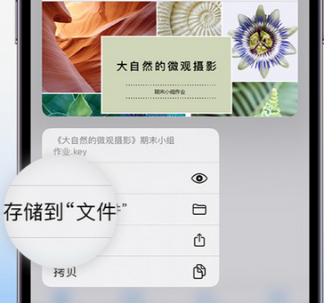 韶关apple维修中心分享iPhone文件应用中存储和找到下载文件