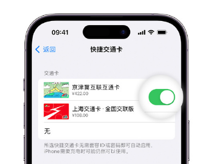 韶关apple维修点分享iPhone上更换Apple Pay快捷交通卡手绘卡面 