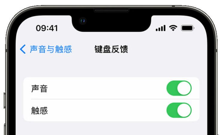 韶关苹果手机维修分享iPhone 14触感键盘使用方法 