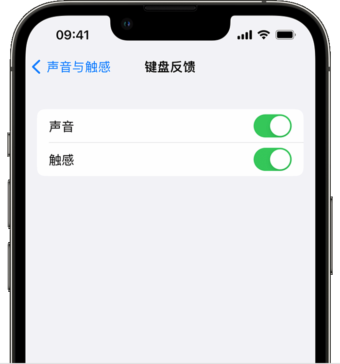 韶关苹果14维修店分享如何在 iPhone 14 机型中使用触感键盘 