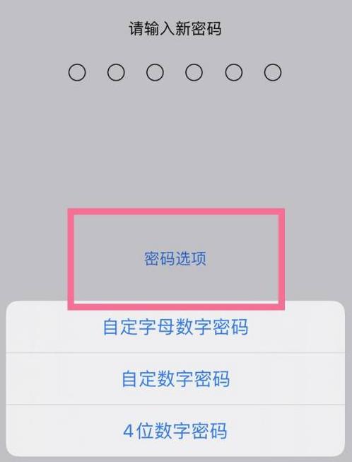 韶关苹果14维修分享iPhone 14plus设置密码的方法 