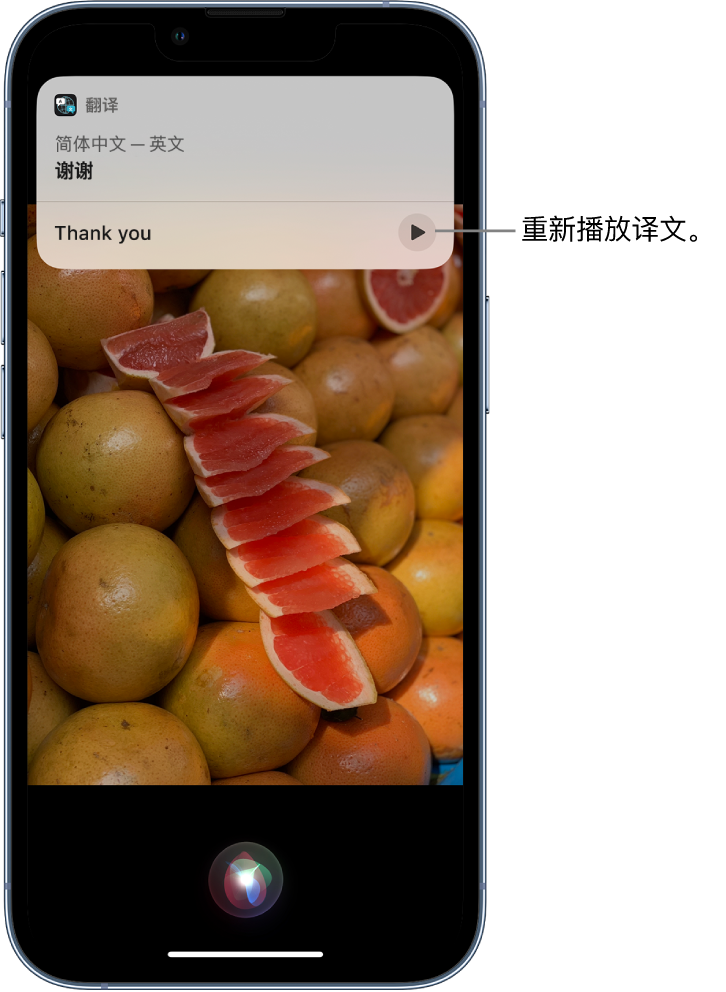 韶关苹果14维修分享 iPhone 14 机型中使用 Siri：了解 Siri 能帮你做什么 