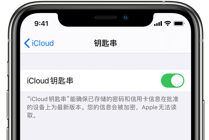 韶关苹果手机维修分享在 iPhone 上开启 iCloud 钥匙串之后会储存哪些信息 